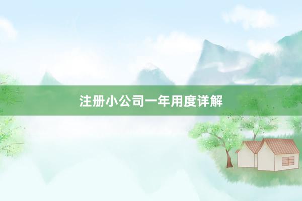 注册小公司一年用度详解