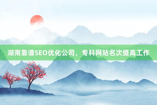 湖南靠谱SEO优化公司，专科网站名次提高工作