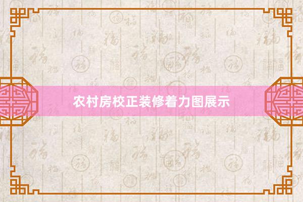 农村房校正装修着力图展示