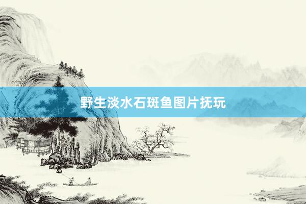 野生淡水石斑鱼图片抚玩